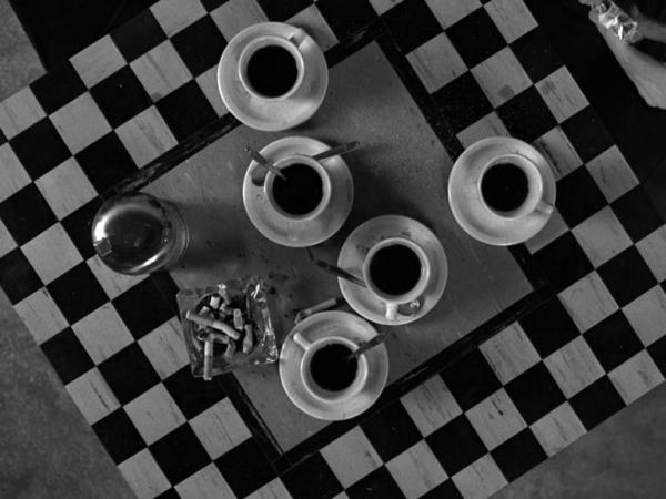 crocodile’s shit or crocodile’s tears