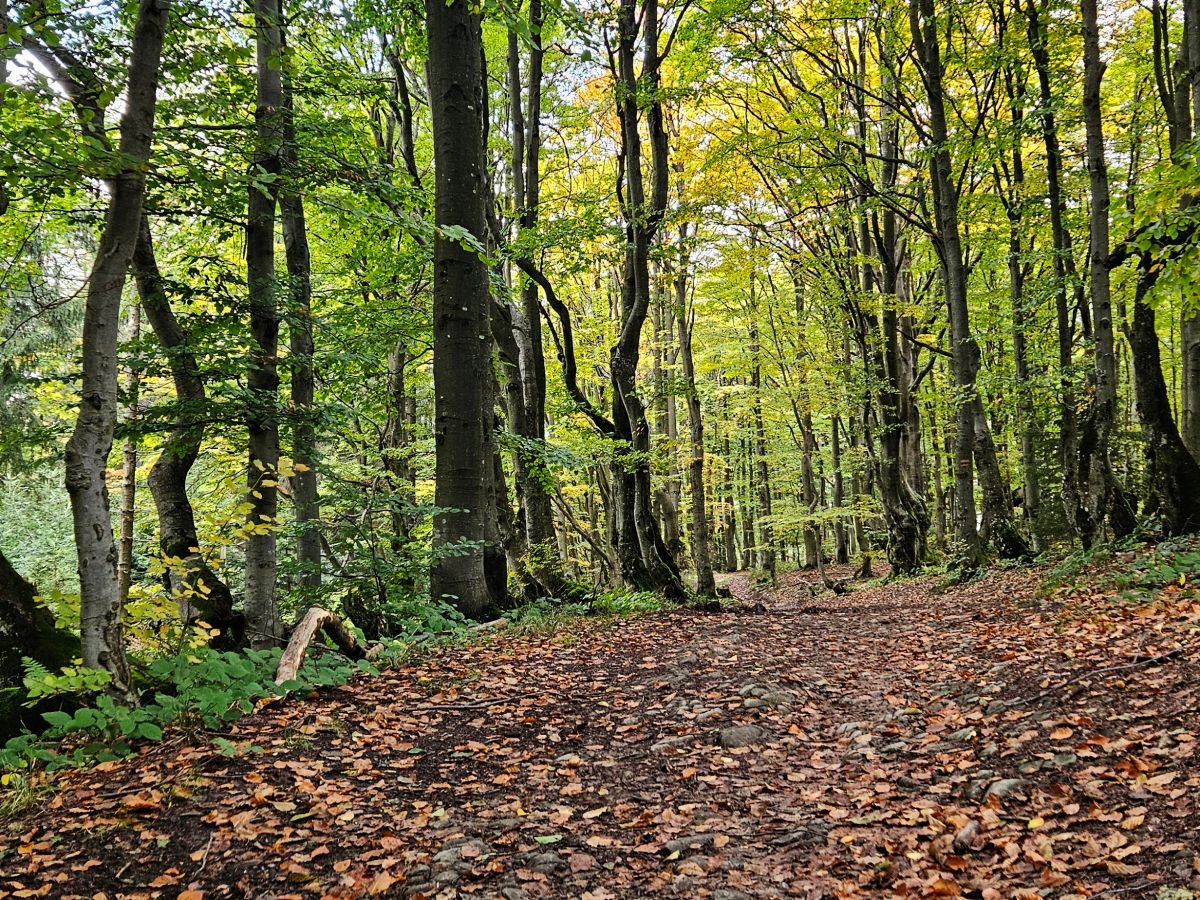 są takie miejsca… / there are&nbsp;places…